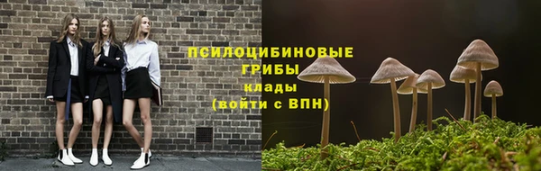 соль ск Вязьма