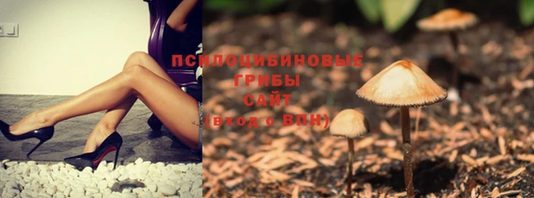ГАЛЛЮЦИНОГЕННЫЕ ГРИБЫ Горняк
