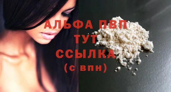 ГАЛЛЮЦИНОГЕННЫЕ ГРИБЫ Горняк