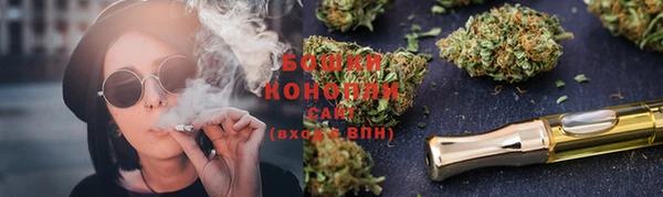 ГАЛЛЮЦИНОГЕННЫЕ ГРИБЫ Горняк