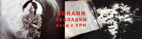 ГАЛЛЮЦИНОГЕННЫЕ ГРИБЫ Горняк