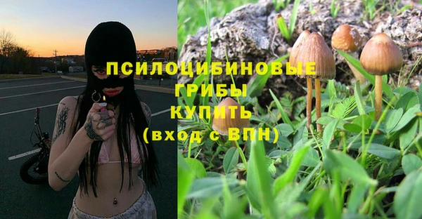 соль ск Горно-Алтайск
