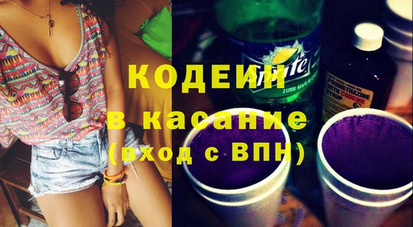 ГАЛЛЮЦИНОГЕННЫЕ ГРИБЫ Горняк