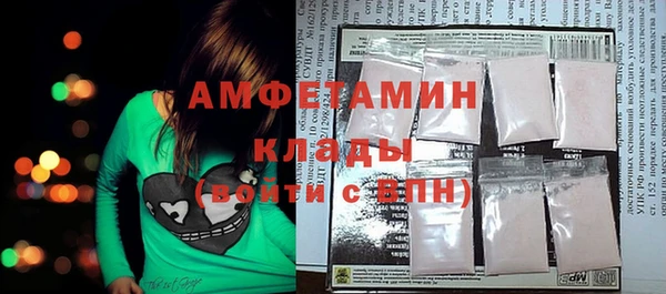 ГАЛЛЮЦИНОГЕННЫЕ ГРИБЫ Горняк