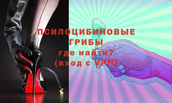 ГАЛЛЮЦИНОГЕННЫЕ ГРИБЫ Горняк