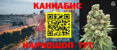 индика Гусь-Хрустальный
