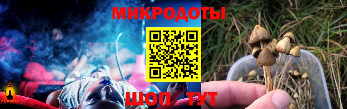 Донской  Псилоцибиновые грибы мухоморы  Псилоцибиновые грибы прущие грибы  где продают наркотики  Вход с VPN 
